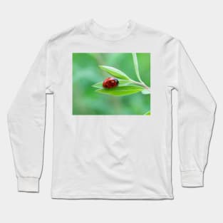 Pretty little red ladybug on a leaf Long Sleeve T-Shirt